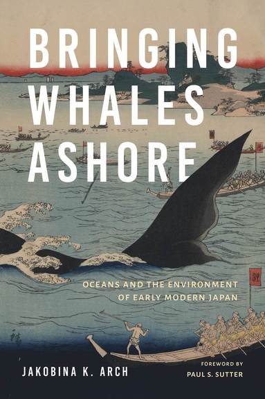 bokomslag Bringing Whales Ashore