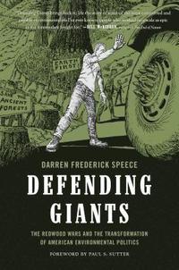 bokomslag Defending Giants
