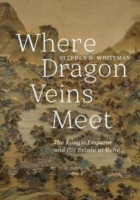 bokomslag Where Dragon Veins Meet