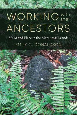 Emily C. Donaldson, K. Sivaramakrishnan - Working with the Ancestors, Inbunden