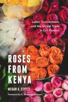 Roses from Kenya 1