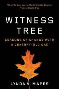 bokomslag Witness Tree