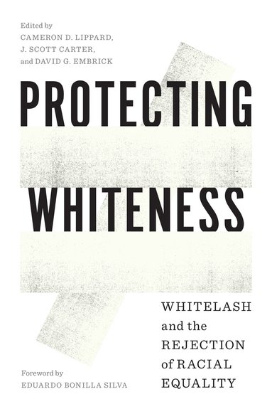 Cameron D. Lippard, J. Scott Carter, David G. Embrick - Protecting Whiteness, Häftad