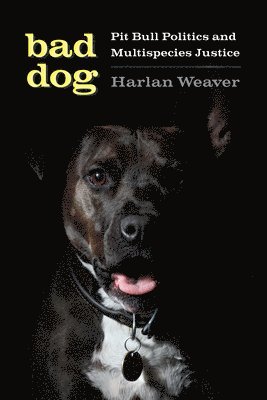 Harlan Weaver, Banu Subramaniam - Bad Dog, Häftad