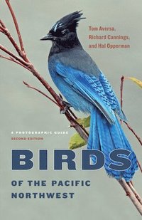 bokomslag Birds of the Pacific Northwest