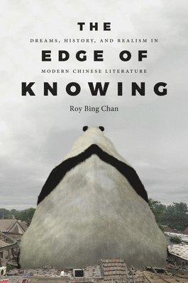 bokomslag The Edge of Knowing