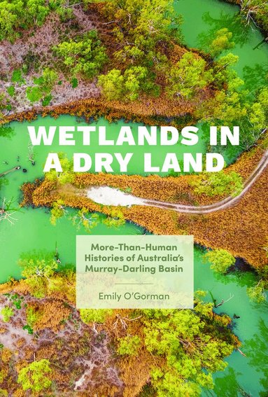 Emily O'Gorman, Paul S. Sutter - Wetlands in a Dry Land, Inbunden