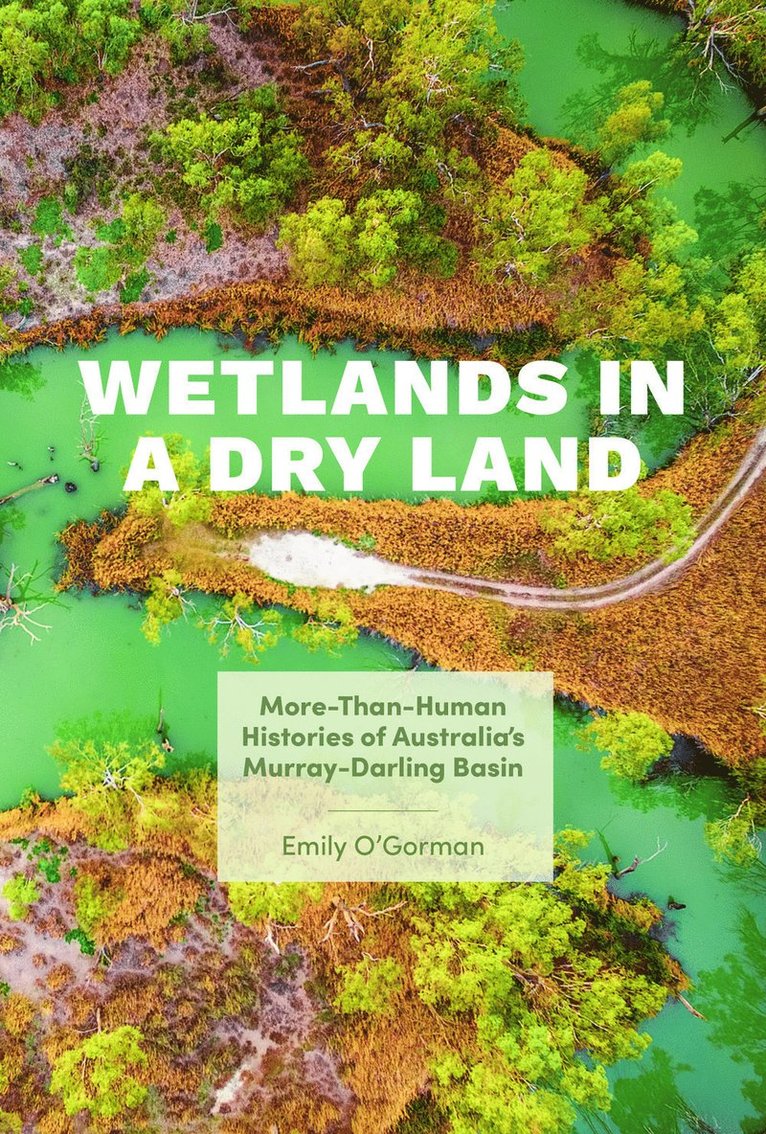 Wetlands in a Dry Land 1