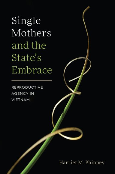 Harriet M. Phinney - Single Mothers and the State’s Embrace, Inbunden