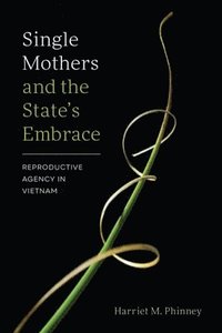 bokomslag Single Mothers and the State's Embrace