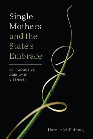 bokomslag Single Mothers and the State's Embrace