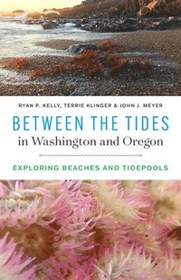 bokomslag Between the Tides in Washington and Oregon