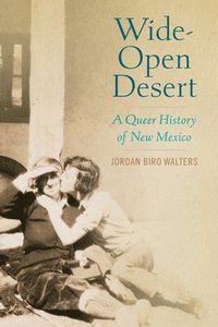 bokomslag Wide-Open Desert