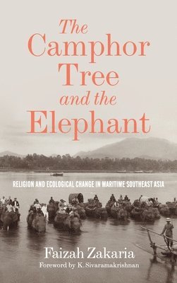 The Camphor Tree and the Elephant 1