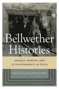 bokomslag Bellwether Histories