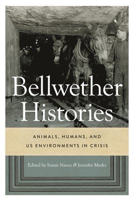 Susan Nance, Jennifer Marks - Bellwether Histories, Inbunden