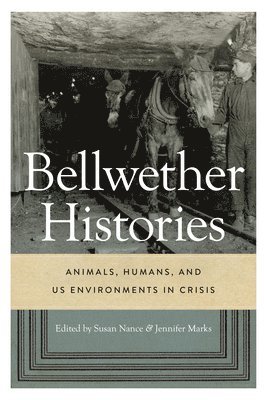 Bellwether Histories 1