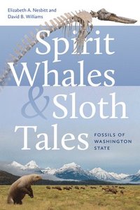 bokomslag Spirit Whales and Sloth Tales