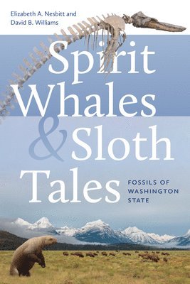 Spirit Whales and Sloth Tales 1