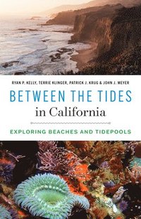 bokomslag Between the Tides in California