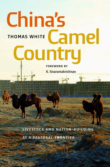 Thomas White, K. Sivaramakrishnan - China's Camel Country, Inbunden
