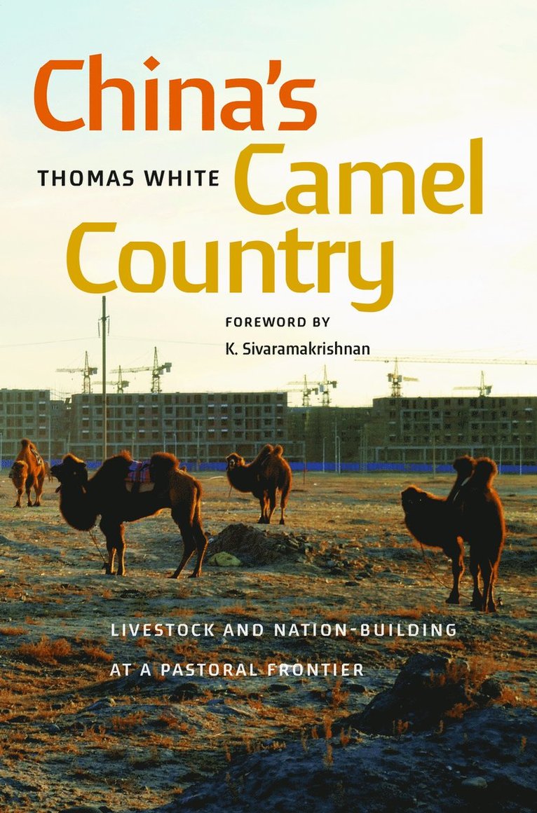 Thomas White, K. Sivaramakrishnan - China's Camel Country, Inbunden