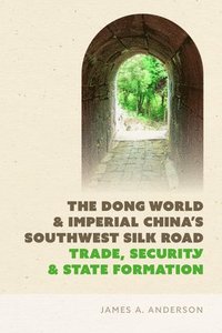 bokomslag The Dong World and Imperial Chinas Southwest Silk Road