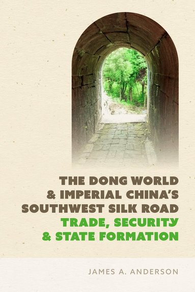 James A. Anderson - Dong World and Imperial China’s Southwest Silk Road, Häftad