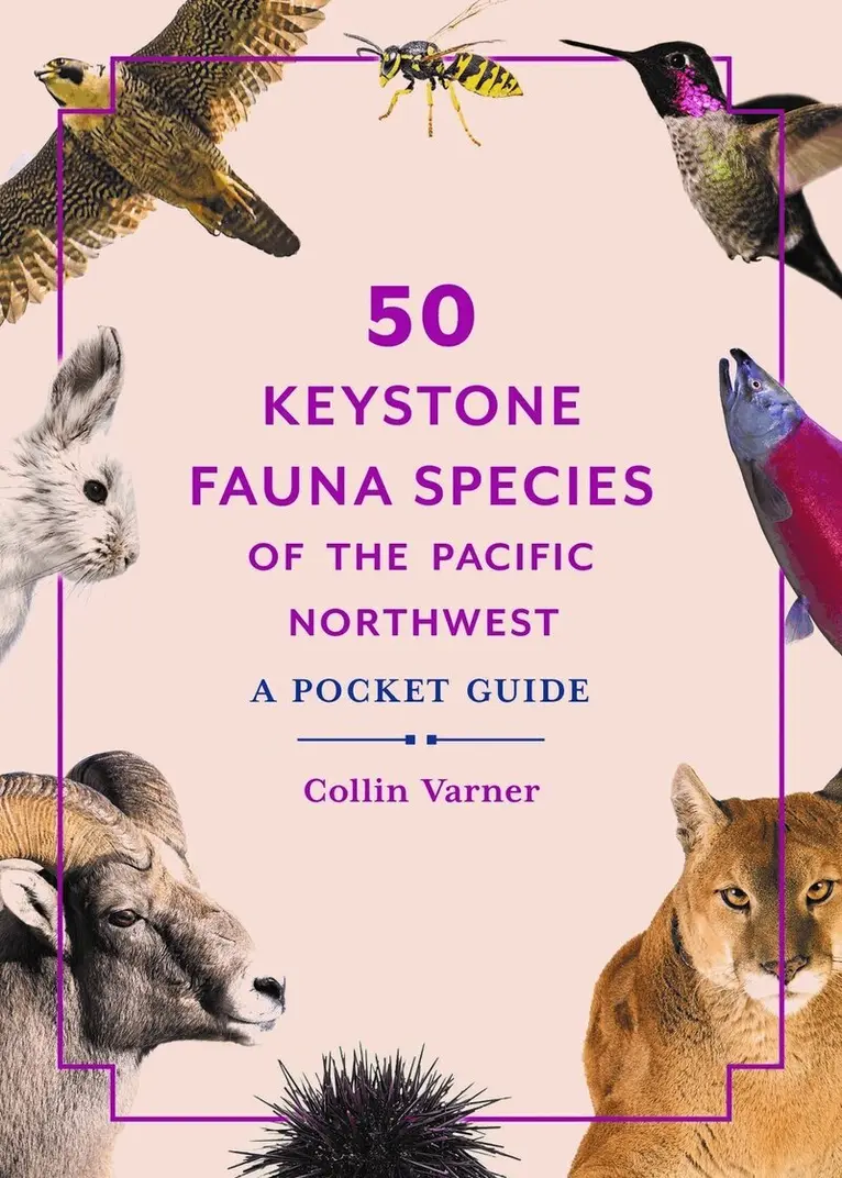 Collin Varner - 50 Keystone Fauna Species of the Pacific Northwest, Häftad. Tillgänglighet: Kommande