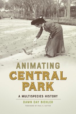 Animating Central Park 1