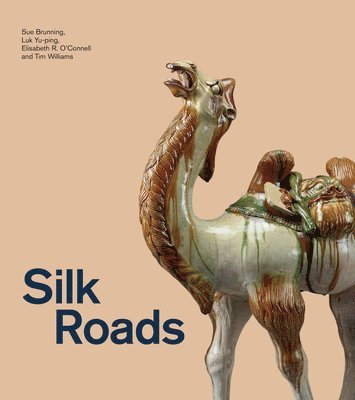 bokomslag Silk Roads