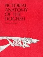 bokomslag Pictorial Anatomy of the Dogfish