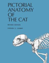 bokomslag Pictorial Anatomy of the Cat