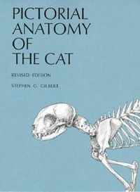 bokomslag Pictorial Anatomy of the Cat