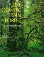 bokomslag Olympic Rain Forest
