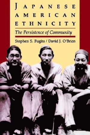 Japanese American Ethnicity 1