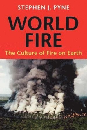 bokomslag World Fire