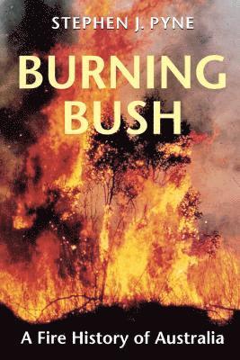 Burning Bush 1