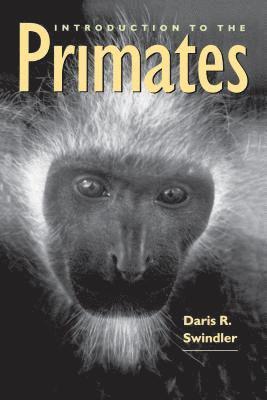 bokomslag Introduction to the Primates