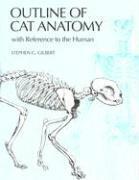 bokomslag Outline of Cat Anatomy with Reference to the Human