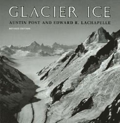Glacier Ice 1