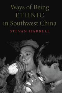 bokomslag Ways of Being Ethnic in Southwest China