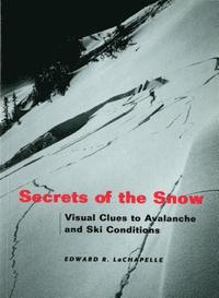 bokomslag Secrets of the Snow