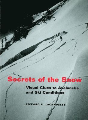 Secrets of the Snow 1