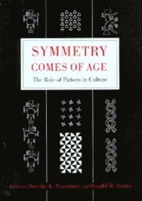 Dorothy K. Washburn, Donald W. Crowe - Symmetry Comes of Age, Inbunden
