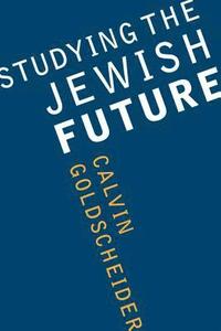 bokomslag Studying the Jewish Future