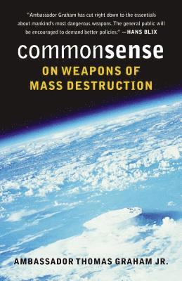 bokomslag Common Sense on Weapons of Mass Destruction