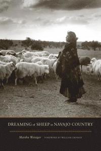 bokomslag Dreaming of Sheep in Navajo Country