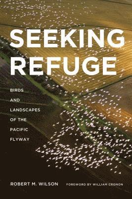 bokomslag Wilson, R: Seeking Refuge