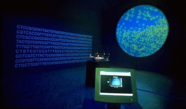 Robert E. Mitchell - Bioart and the Vitality of Media, Häftad
